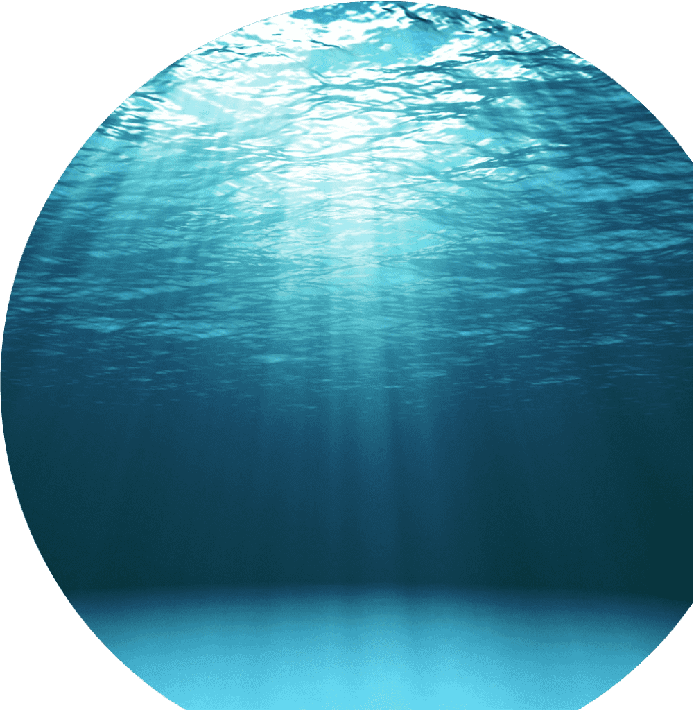the lake of systemisation for business owners