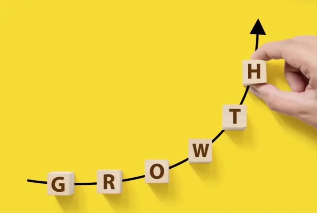 How does a business coaching franchise work